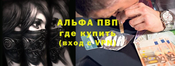 шишки Горняк