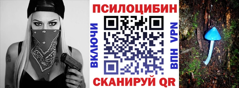 ссылка на мегу ONION где можно купить Электросталь Галлюциногенные грибы прущие грибы